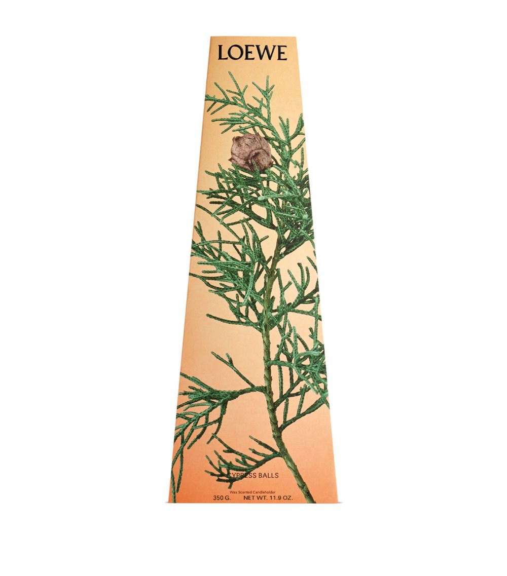 Loewe Loewe Cypress Balls Chandelier Candle (330G)