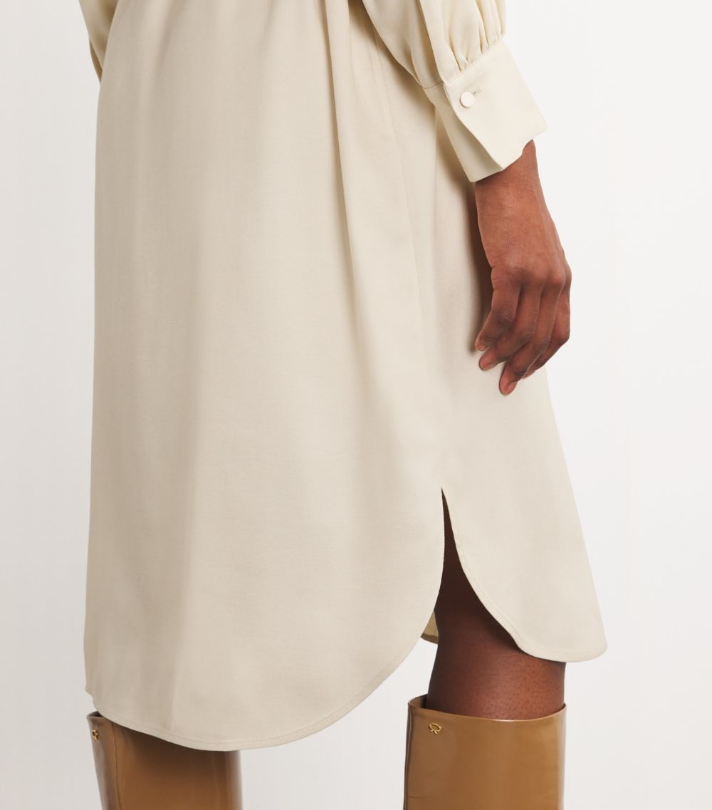 Joseph Joseph Belted Floreal Midi Shirt Dress