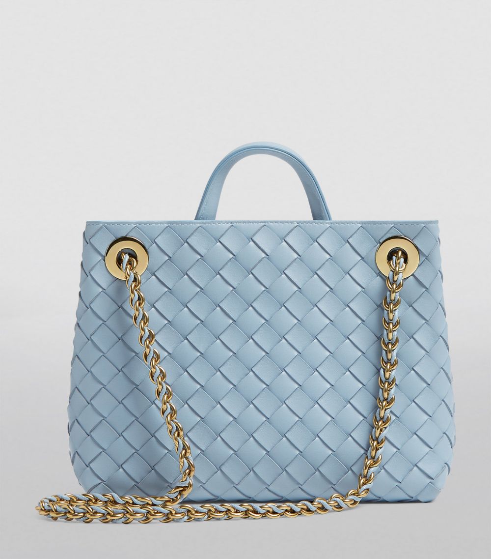 Bottega Veneta Bottega Veneta Small Leather Andiamo Chain Shoulder Bag