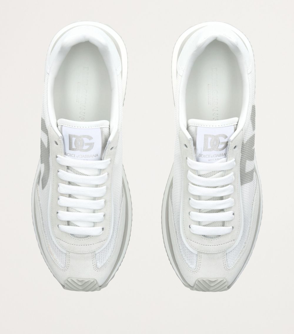 Dolce & Gabbana Dolce & Gabbana Aria Low-Top Sneakers