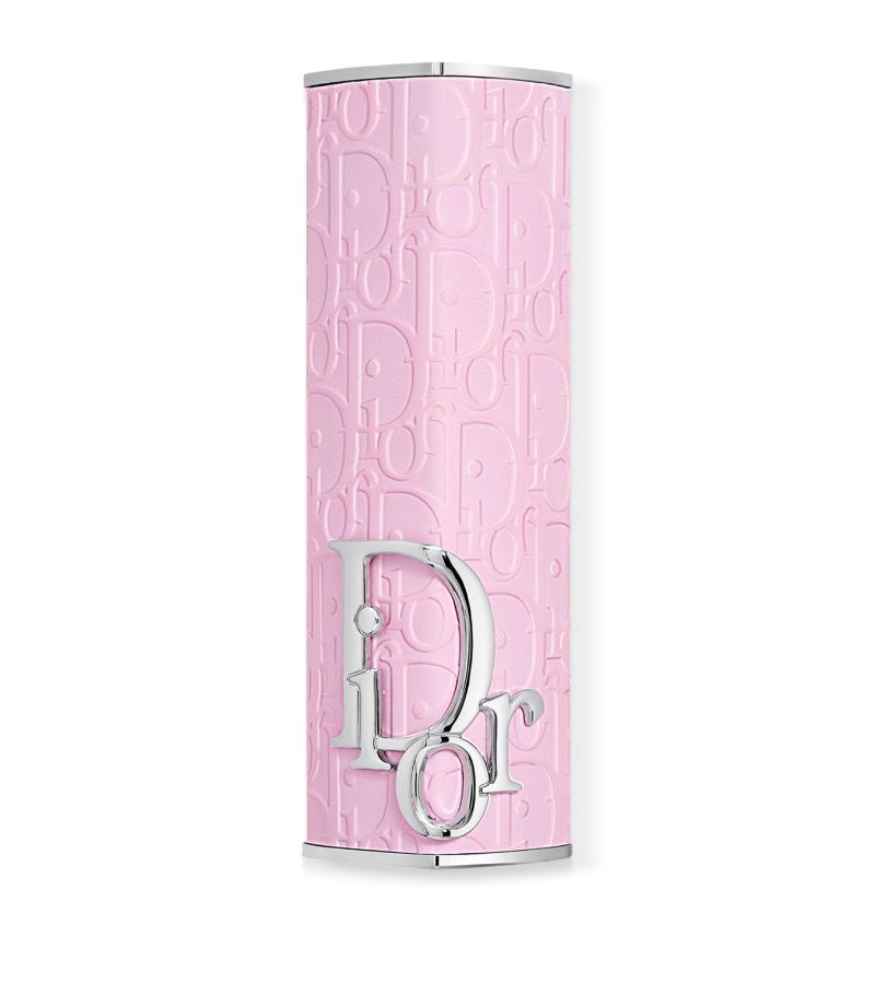 Dior Dior Dior Addict Lipstick Case