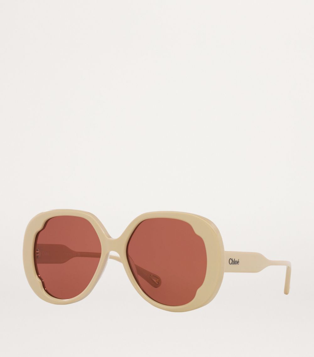 Chloé Chloé Acetate 06N000509 Sunglasses