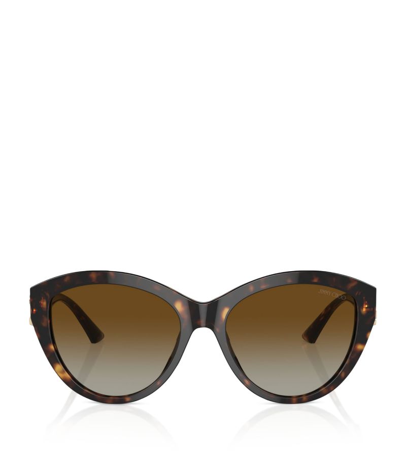 Jimmy Choo Jimmy Choo Acetate Jc5007 Sunglasses