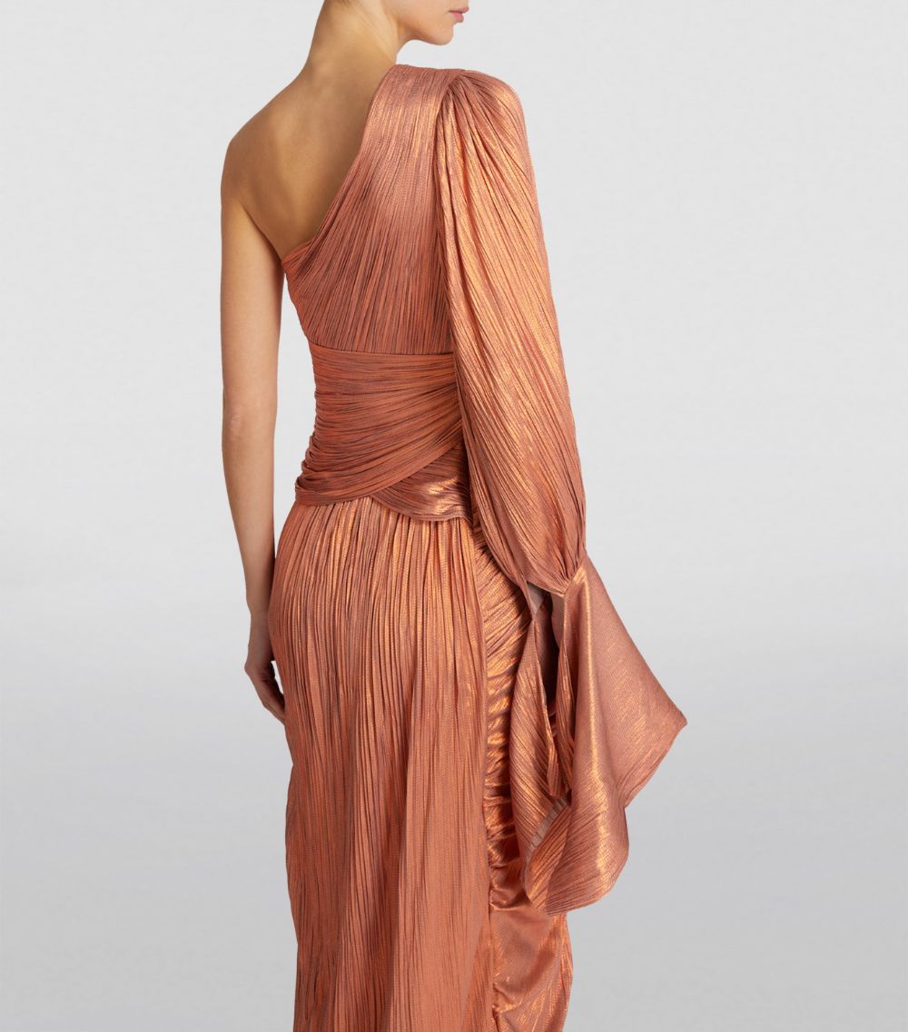 Maria Lucia Hohan Maria Lucia Hohan Silk One-Shoulder Palmer Gown