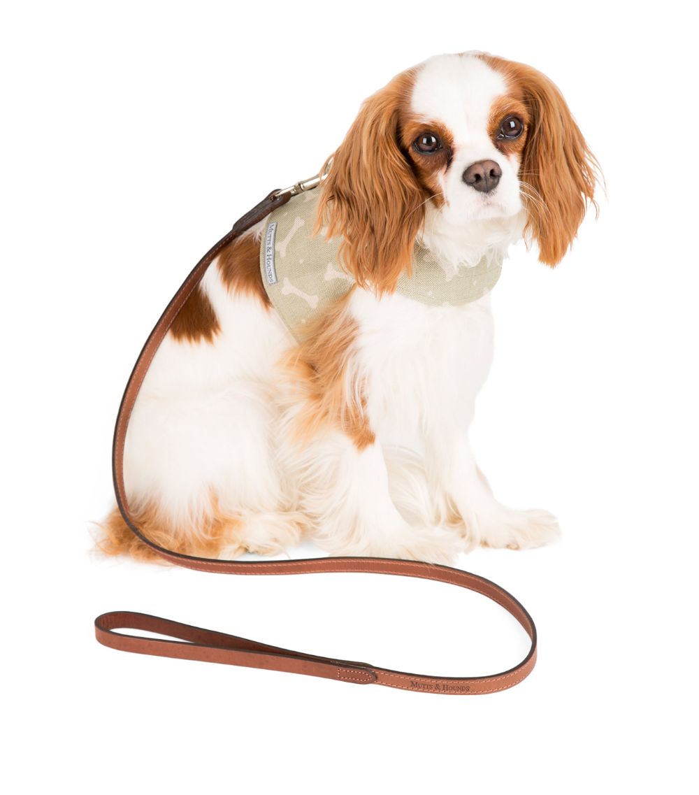 Mutts And Hounds Mutts And Hounds Leather Wide Pet Lead
