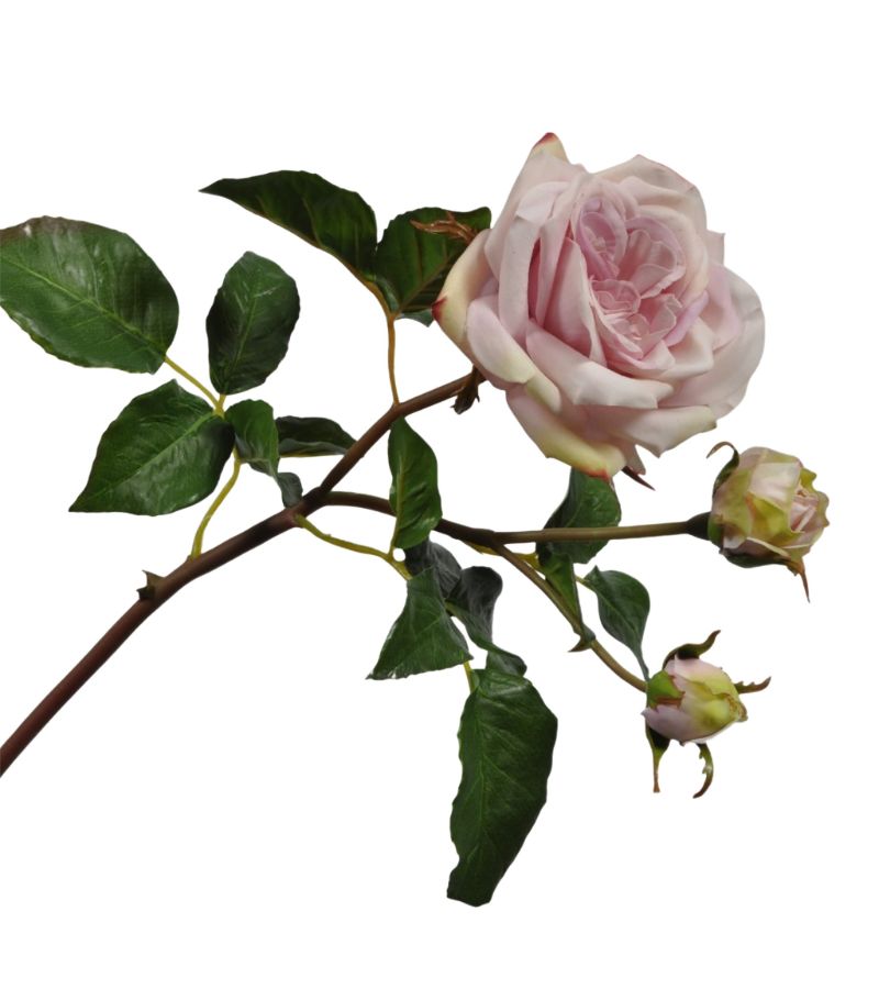 Silk-Ka Silk-Ka Rose Faux Flower