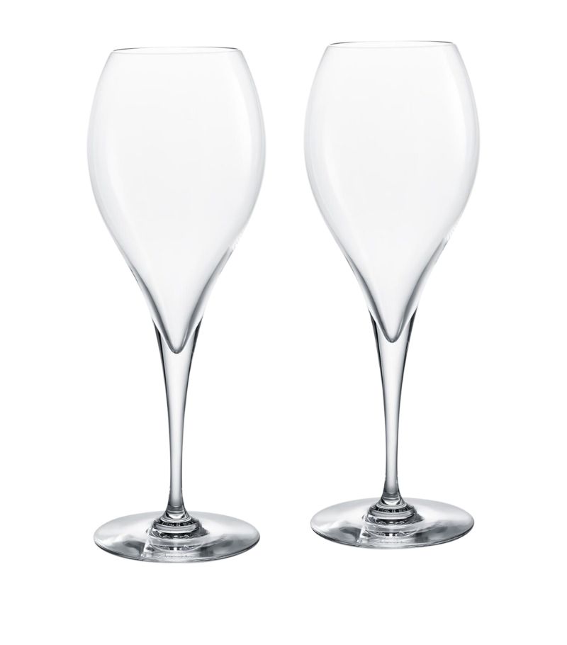 Baccarat Baccarat Set Of 2 Oenologie Champagne Flutes (280Ml)