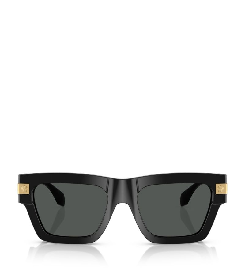 Versace Versace Nylon Ve4464 Sunglasses