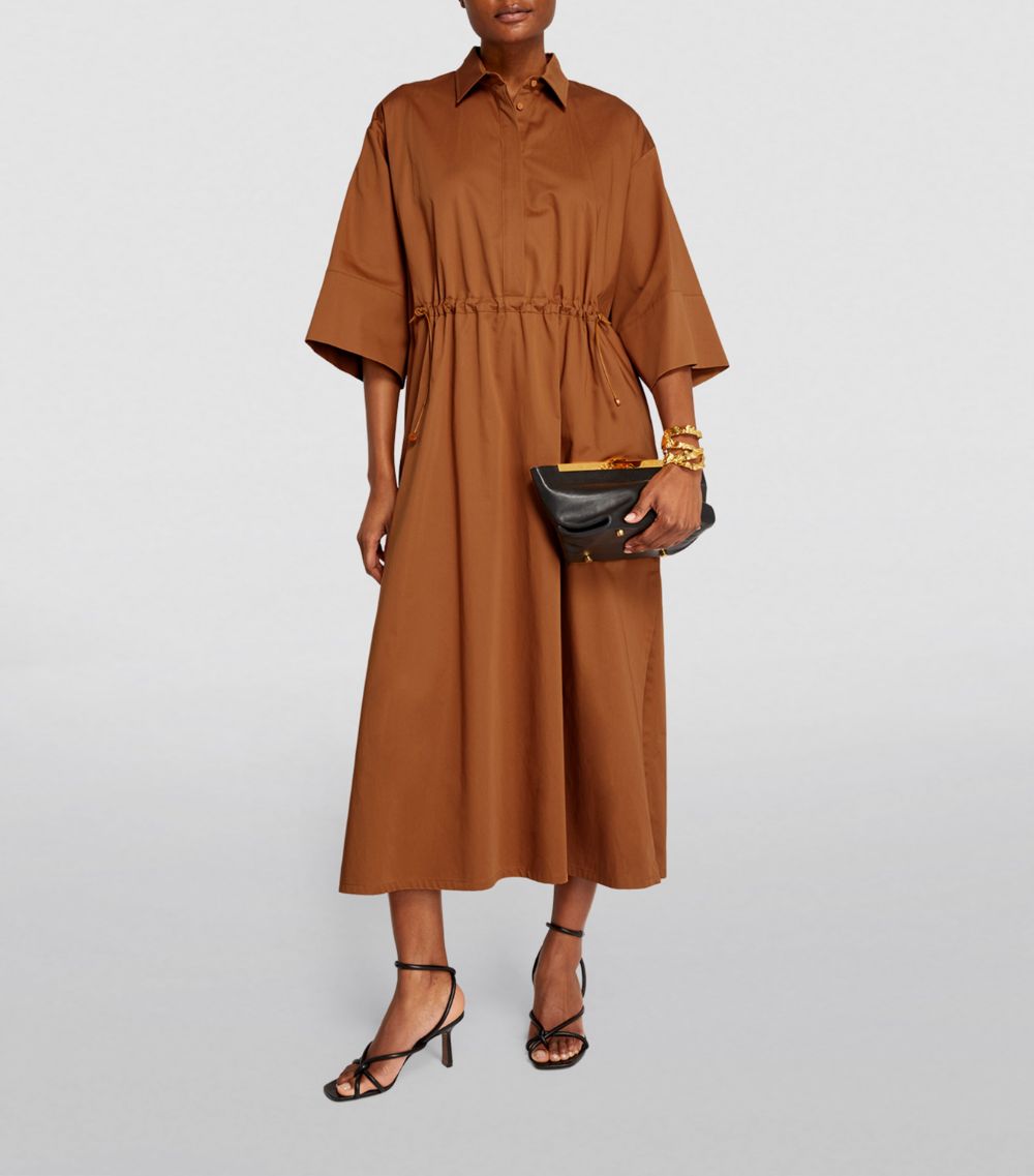 Max Mara Max Mara Cotton-Silk Shirt Dress