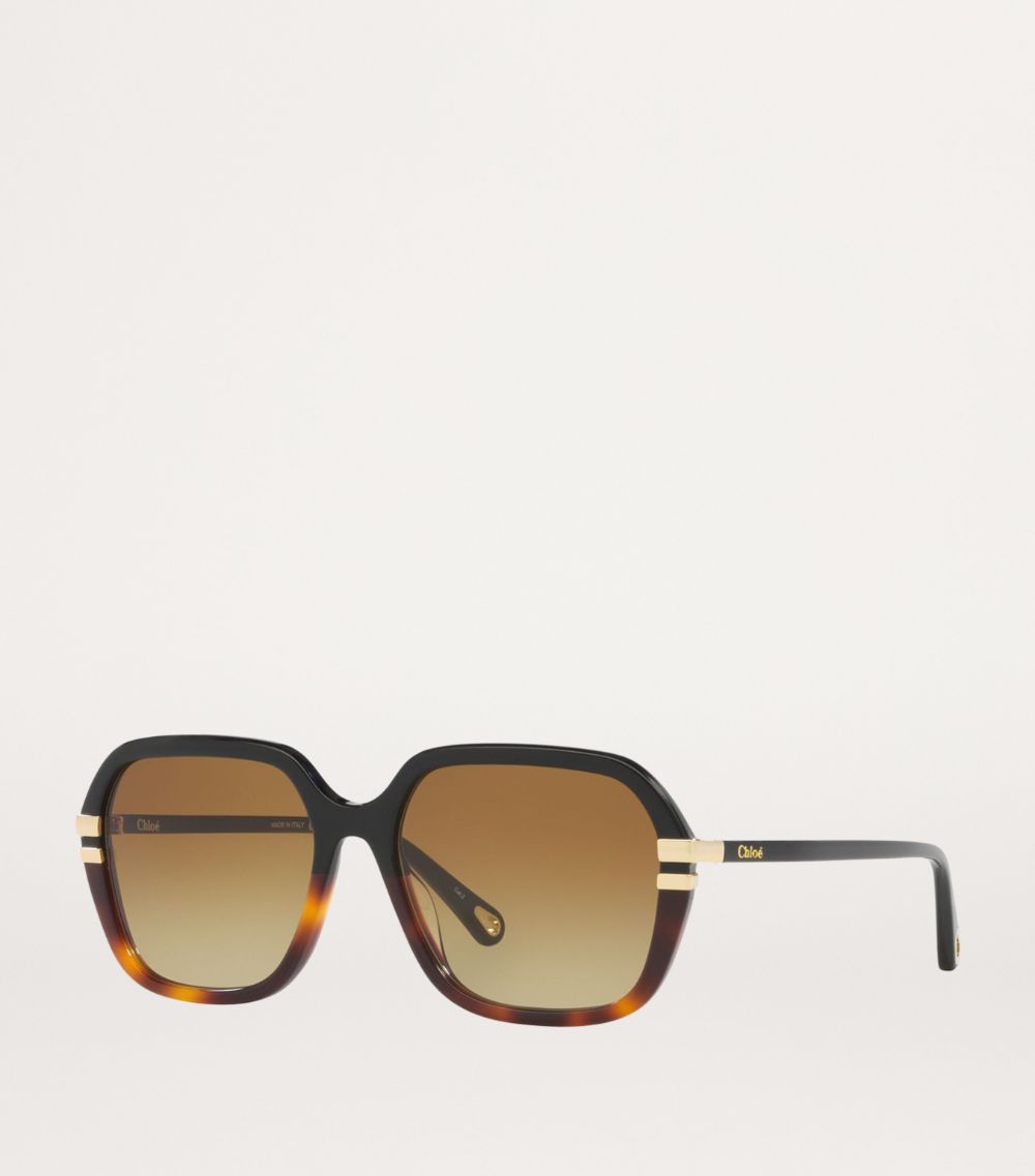 Chloé Chloé Acetate 06N000513 Sunglasses