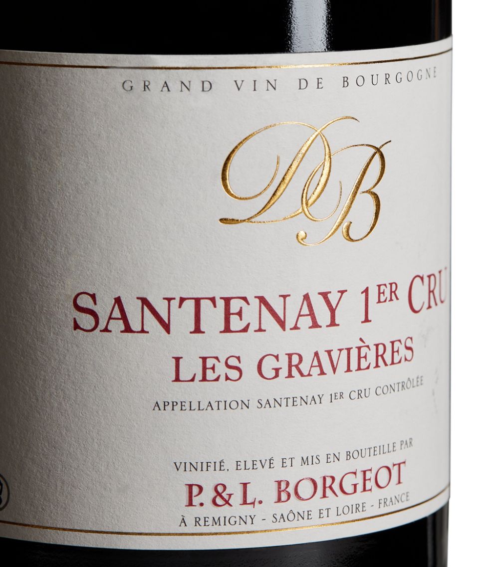 Borgeot Borgeot Santenay Premier Cru Les Gravieres Pinot Noir 2020 (75Cl) - Burgundy, France