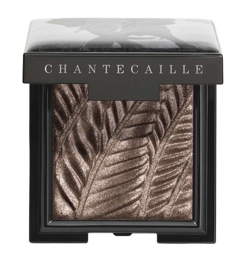 Chantecaille Chantecaille Elephant Luminous Eye Shade