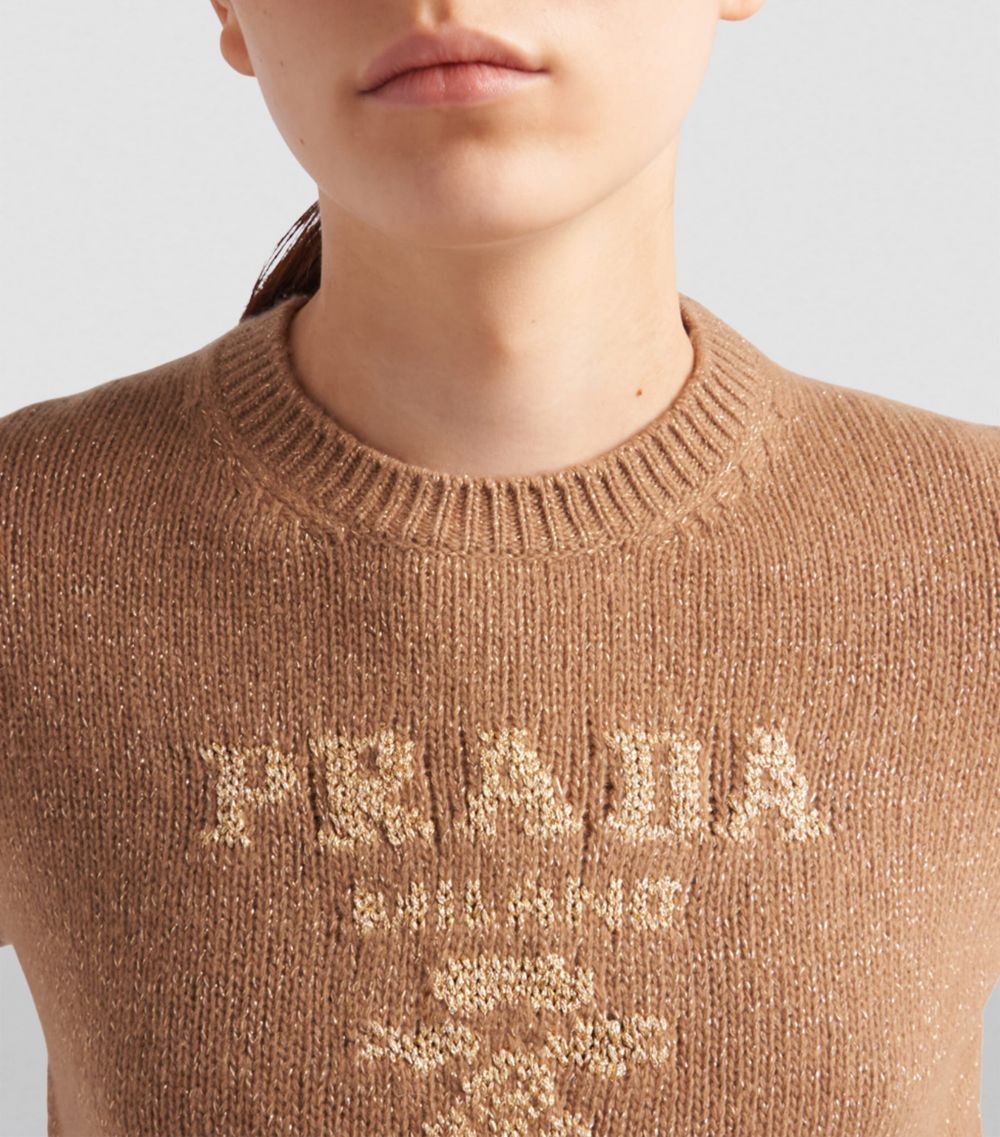 Prada Prada Wool-Blend Logo Sweater