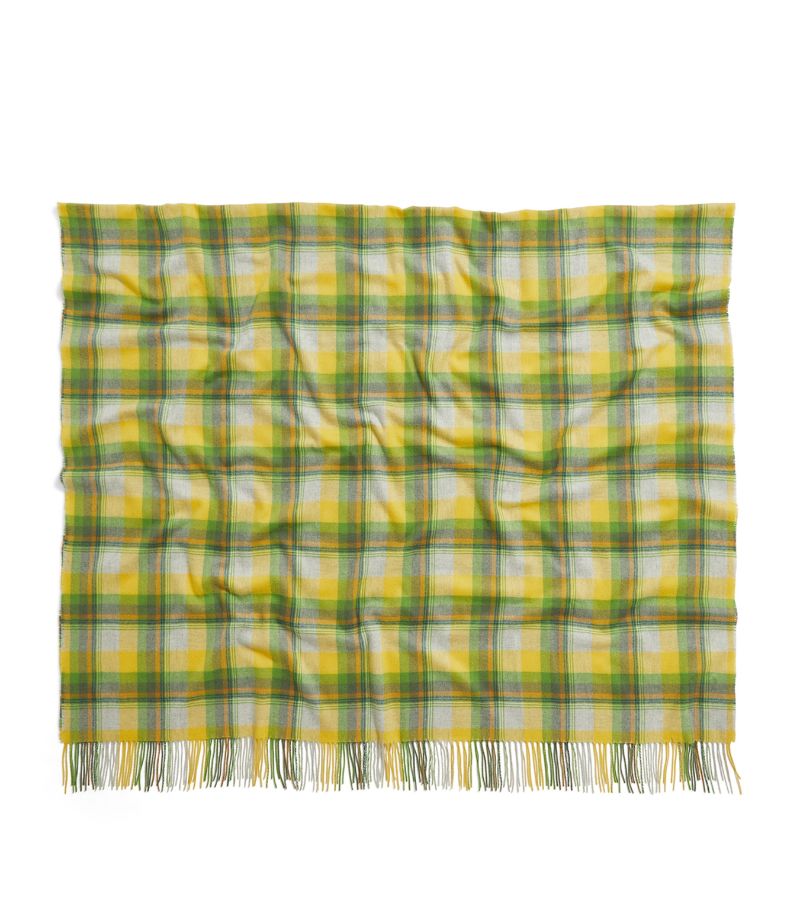 zegna Zegna X The Elder Statesman Cashmere Check Print Blanket