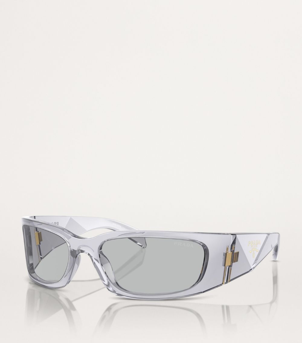 Prada Prada Acetate Pr A14S Sunglasses