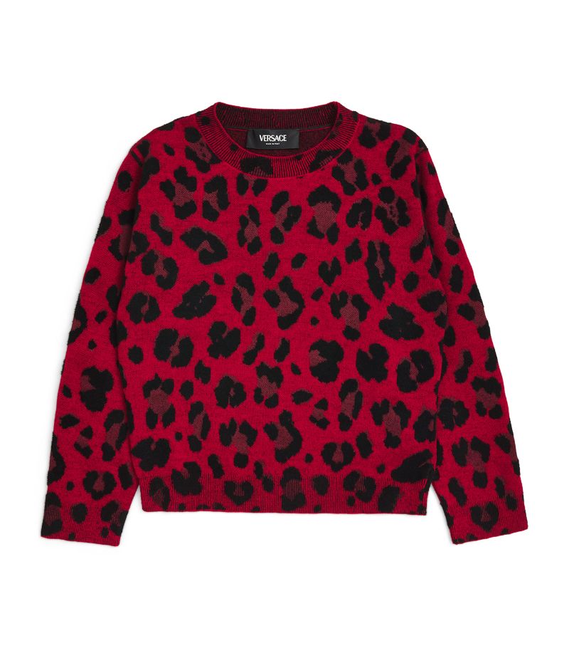 Young Versace Versace Kids Leopard Print Sweater (4-14 Years)