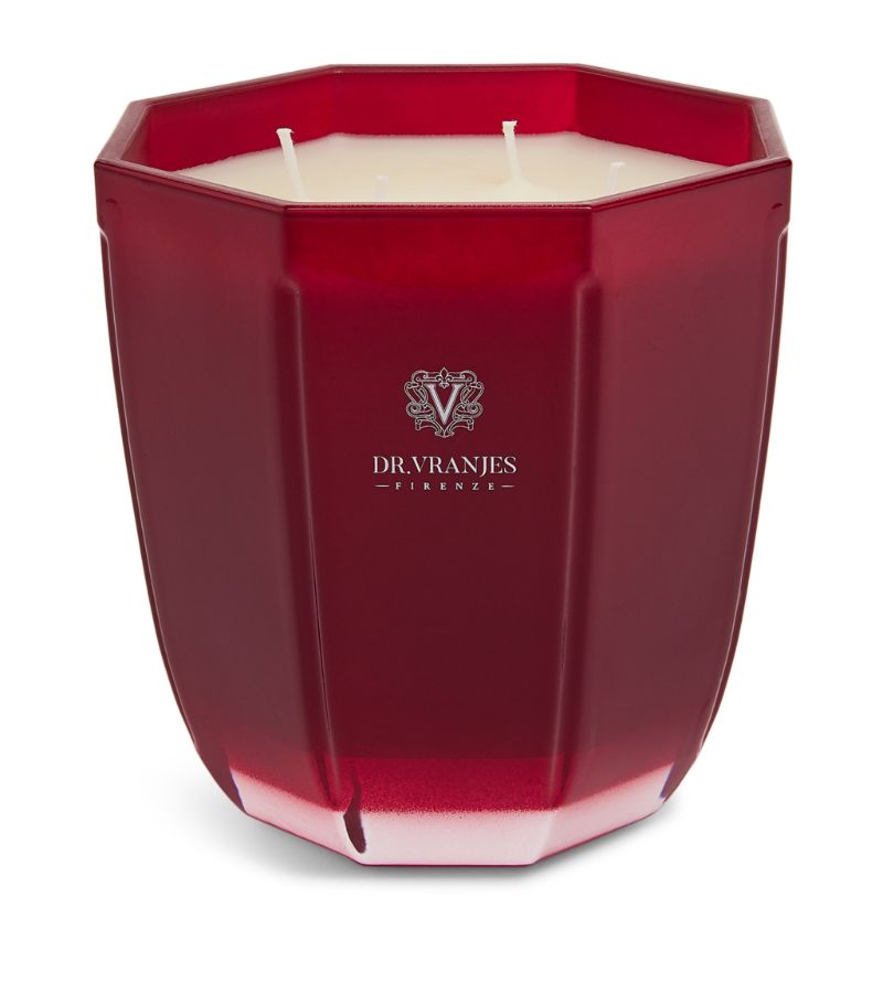 Dr. Vranjes Firenze Dr. Vranjes Firenze Melograno Candle (500G)