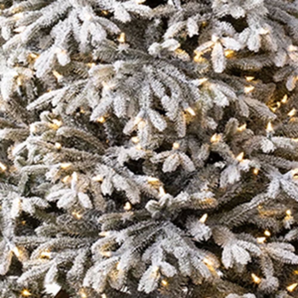 Balsam Hill Balsam Hill Frosted Fraser Fir Candlelight Christmas Tree (7.5Ft)