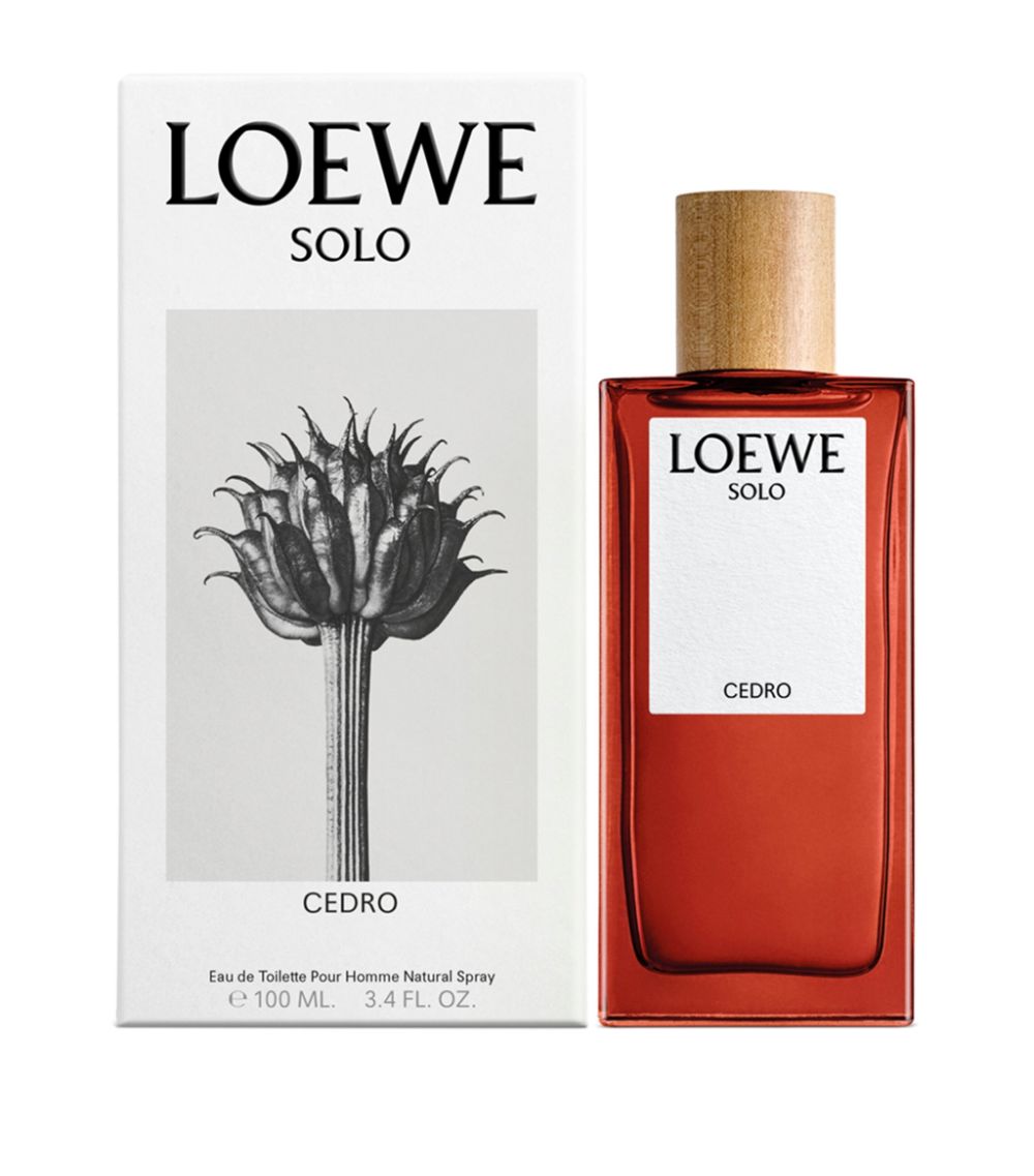 Loewe Loewe Solo Cedro Eau De Toilette (100Ml)
