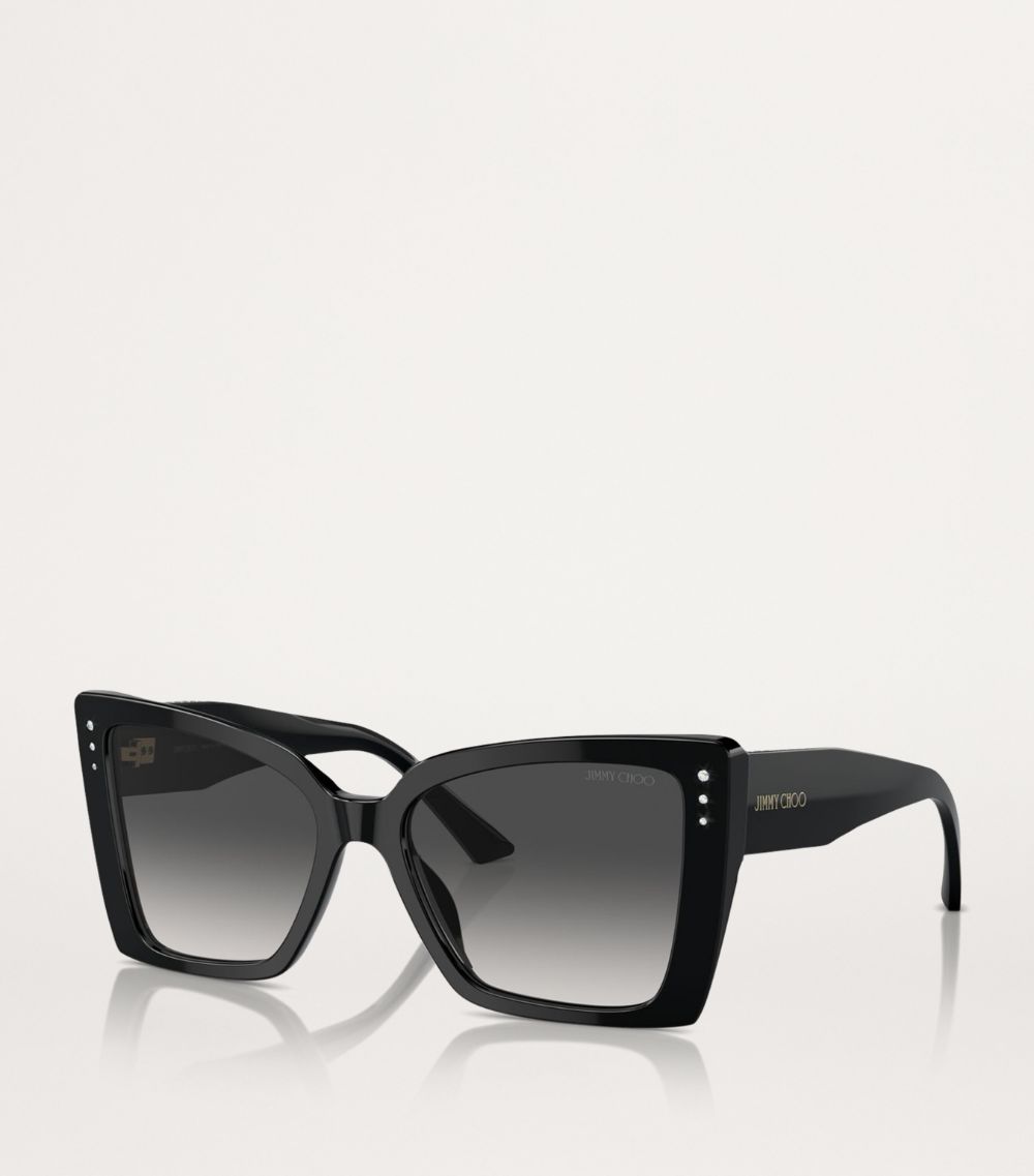 Jimmy Choo Jimmy Choo Acetate Jc5001B Sunglasses