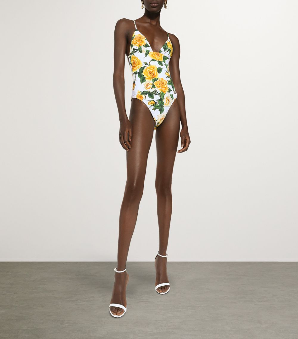 Dolce & Gabbana Dolce & Gabbana Rose Print Swimsuit