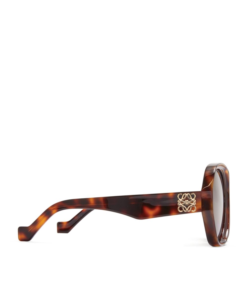 Loewe Loewe Oval Tortoiseshell Sunglasses