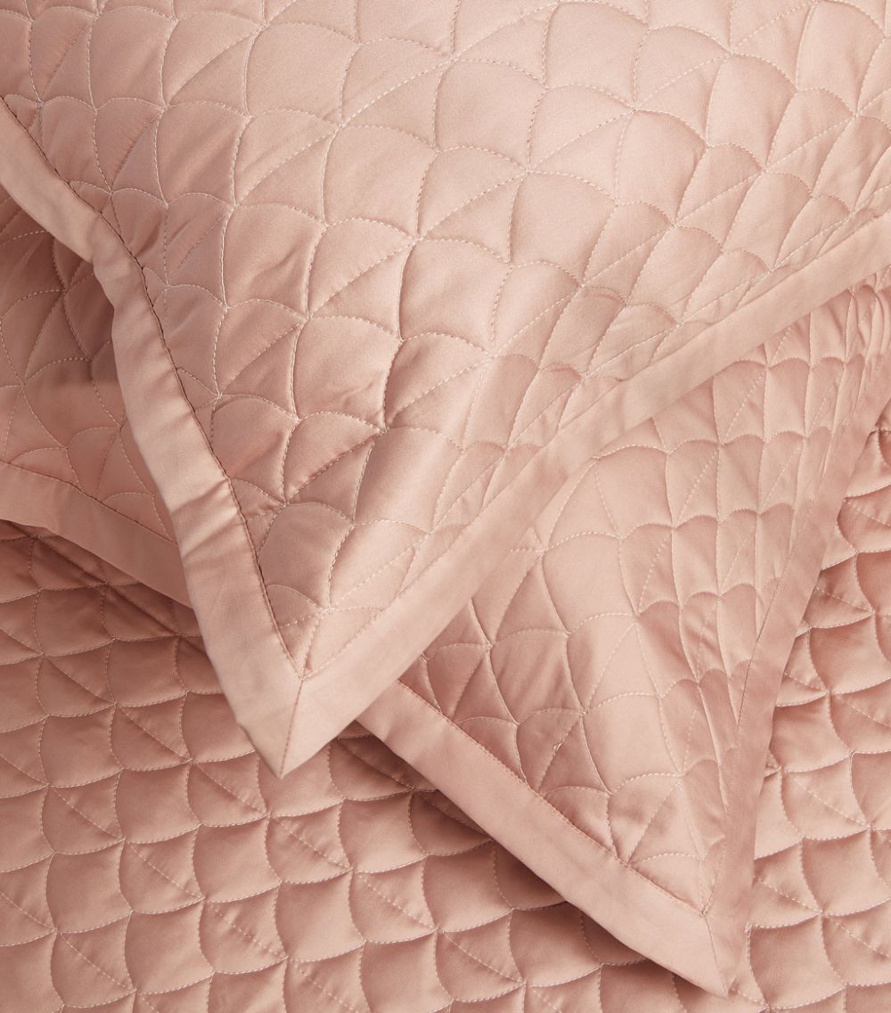 Amalia Amalia Suave Quilted Oxford Pillowcase (50Cm X 75Cm)