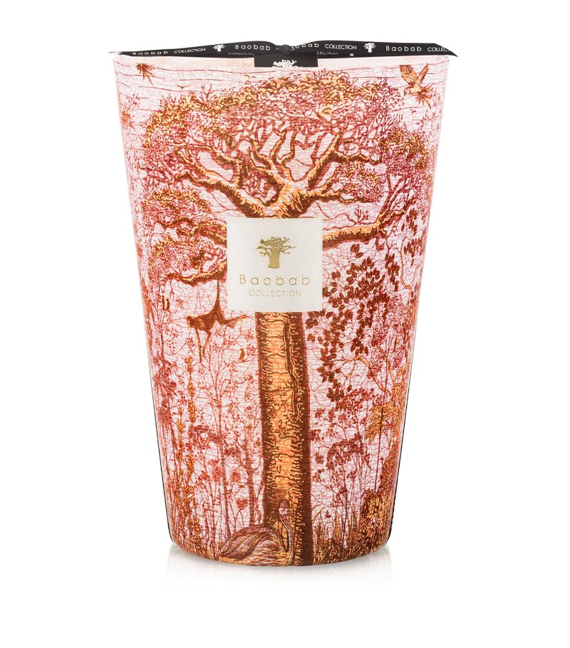 Baobab Collection Baobab Collection Woroba Candle (35Cm)