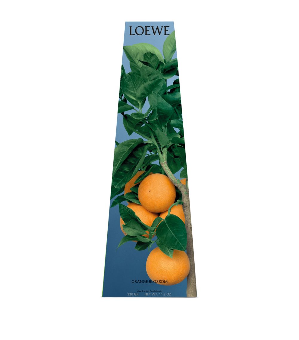 Loewe Loewe Orange Blossom Chandelier Candle (330G)