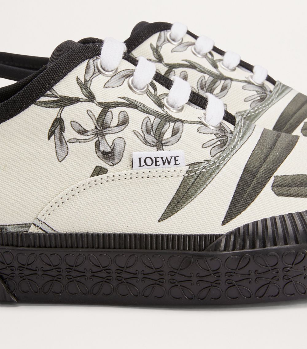 Loewe Loewe X Paula'S Ibiza Terra Vulca Low-Top Sneakers