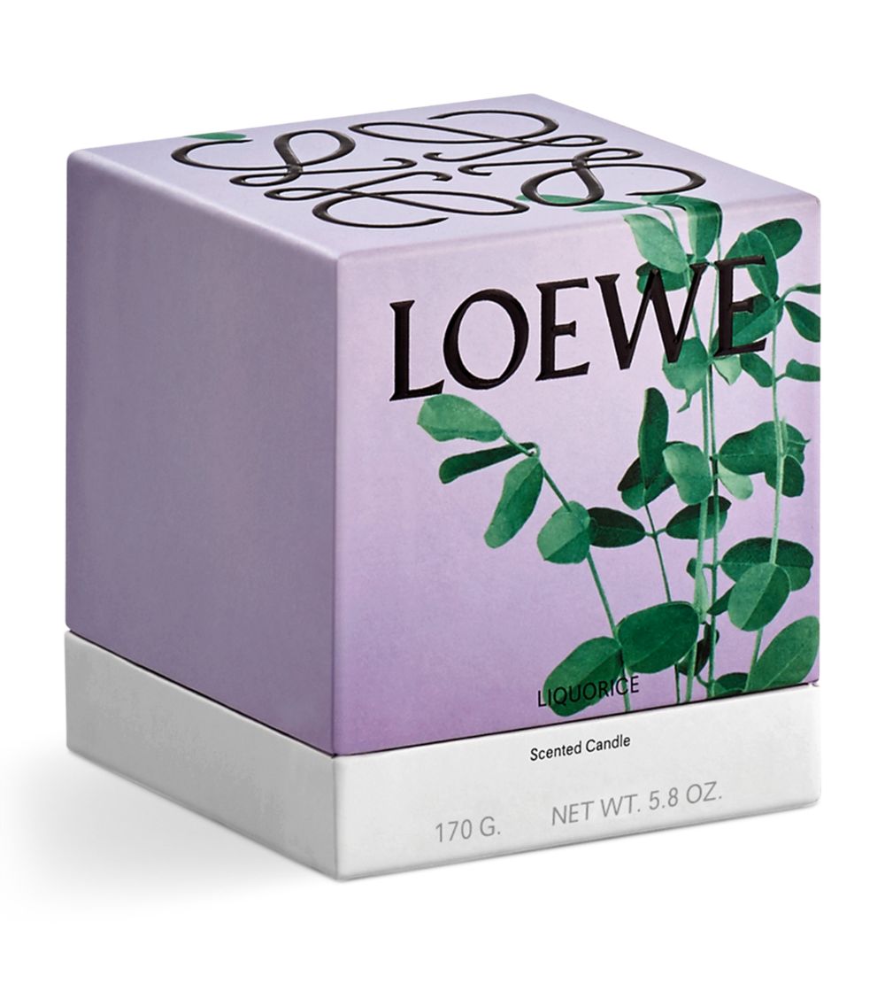 Loewe LOEWE Small Liquorice Candle (170g)