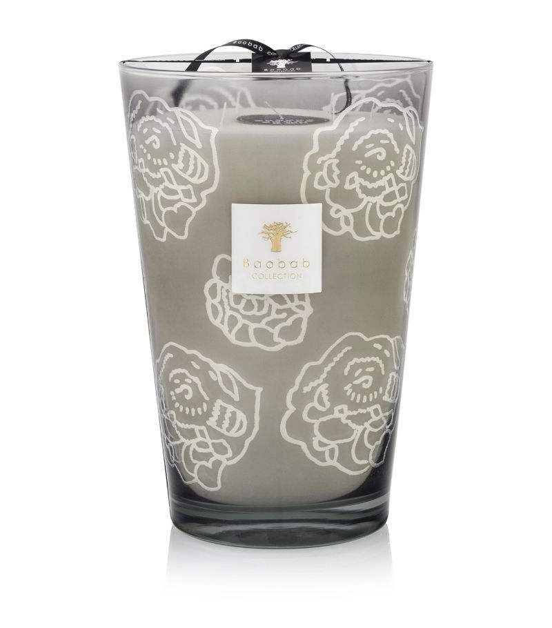 Baobab Collection Baobab Collection Collectible Roses Grey Candle (9kg)