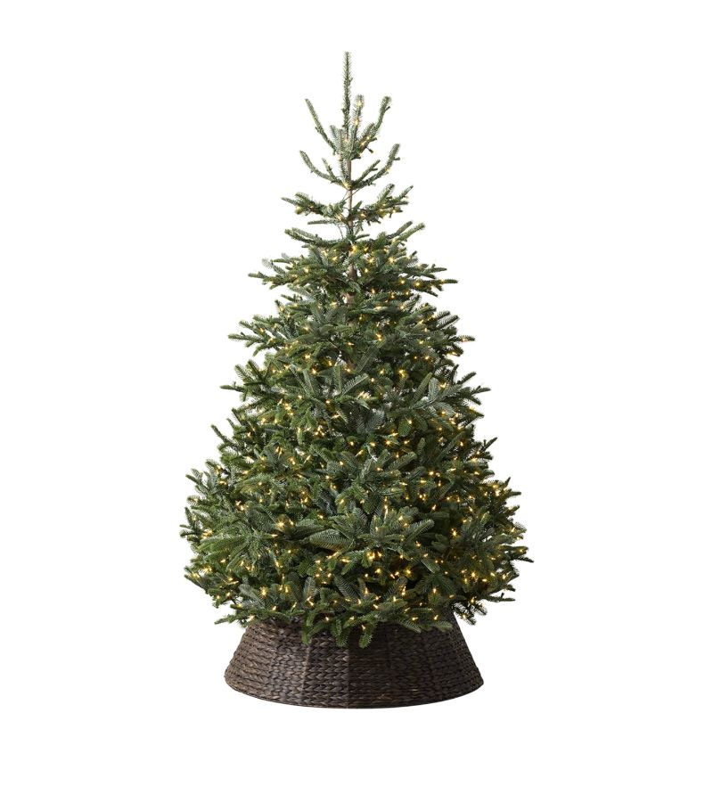 Balsam Hill BALSAM HILL Nordmann Fir Candlelight Christmas Tree (7ft)