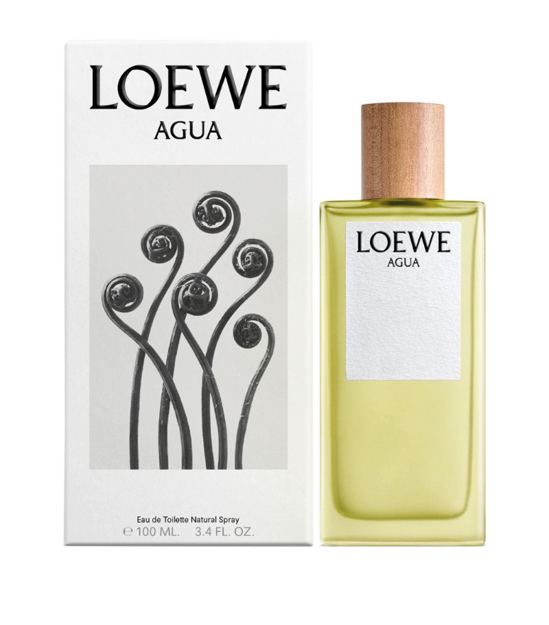 Loewe Loewe Agua Eau De Toilette (100Ml)