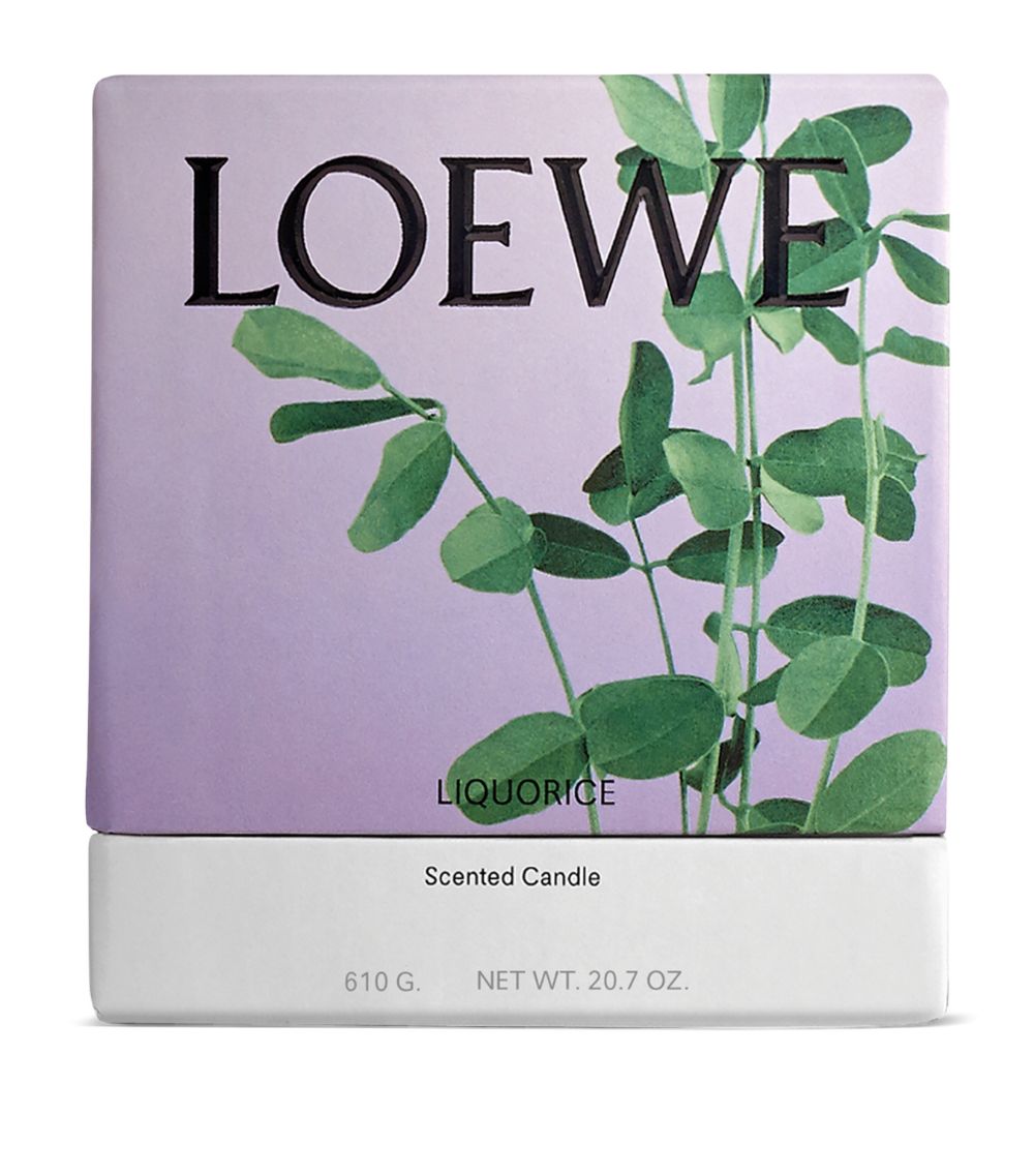 Loewe LOEWE Medium Liquorice Candle (610g)