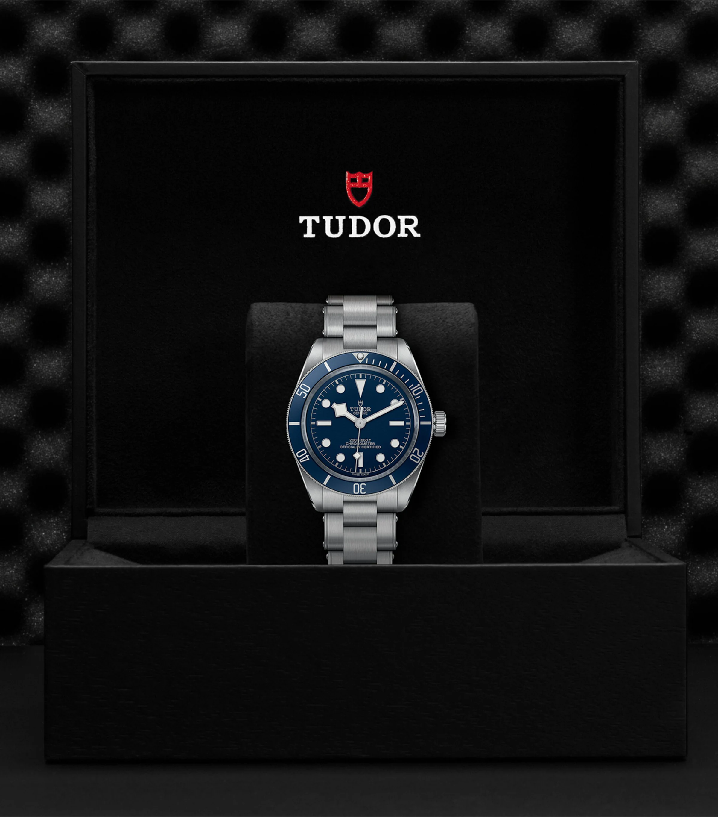 Tudor Tudor Black Bay 58 Stainless Steel Watch