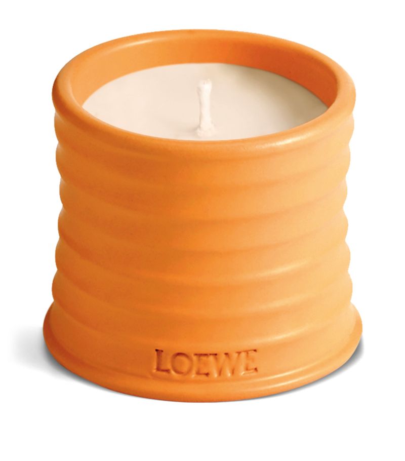 Loewe Loewe Small Orange Blossom Candle (0.5Kg)