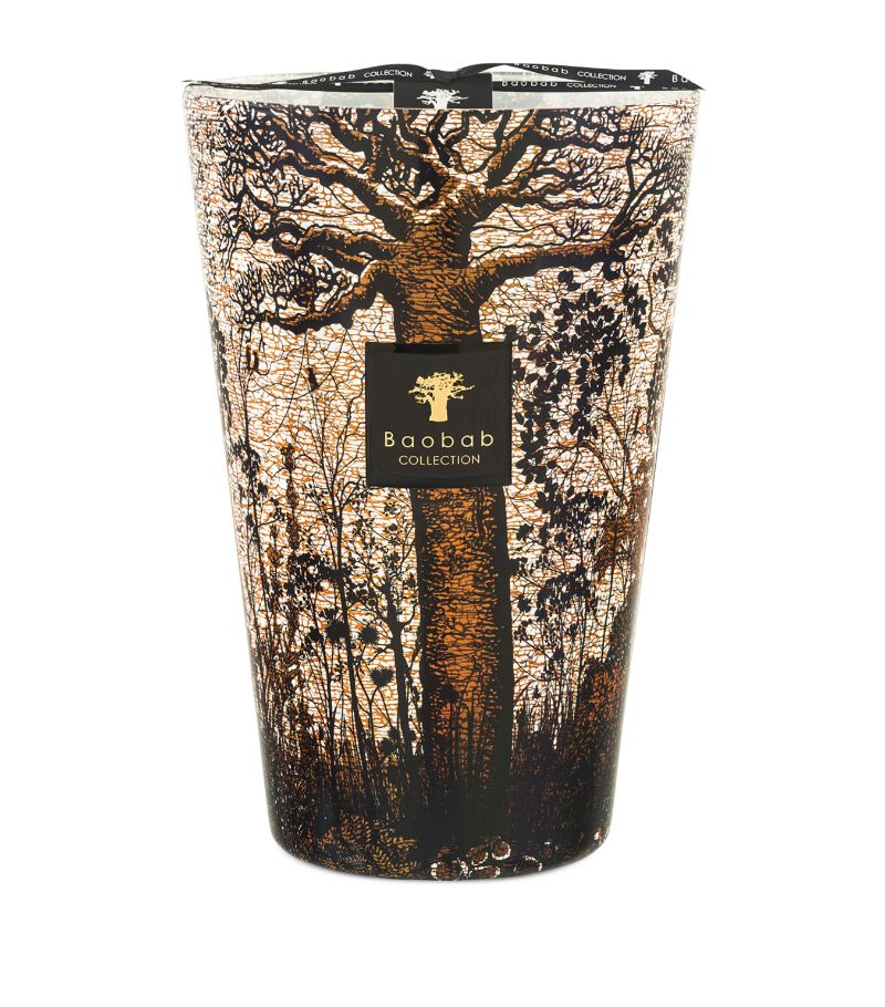 Baobab Collection Baobab Collection Sacred Trees Morondo Candle (6.5kg)