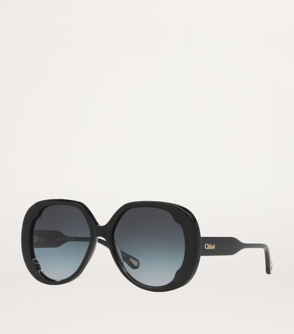 Chloé Chloé Acetate 06N000509 Sunglasses