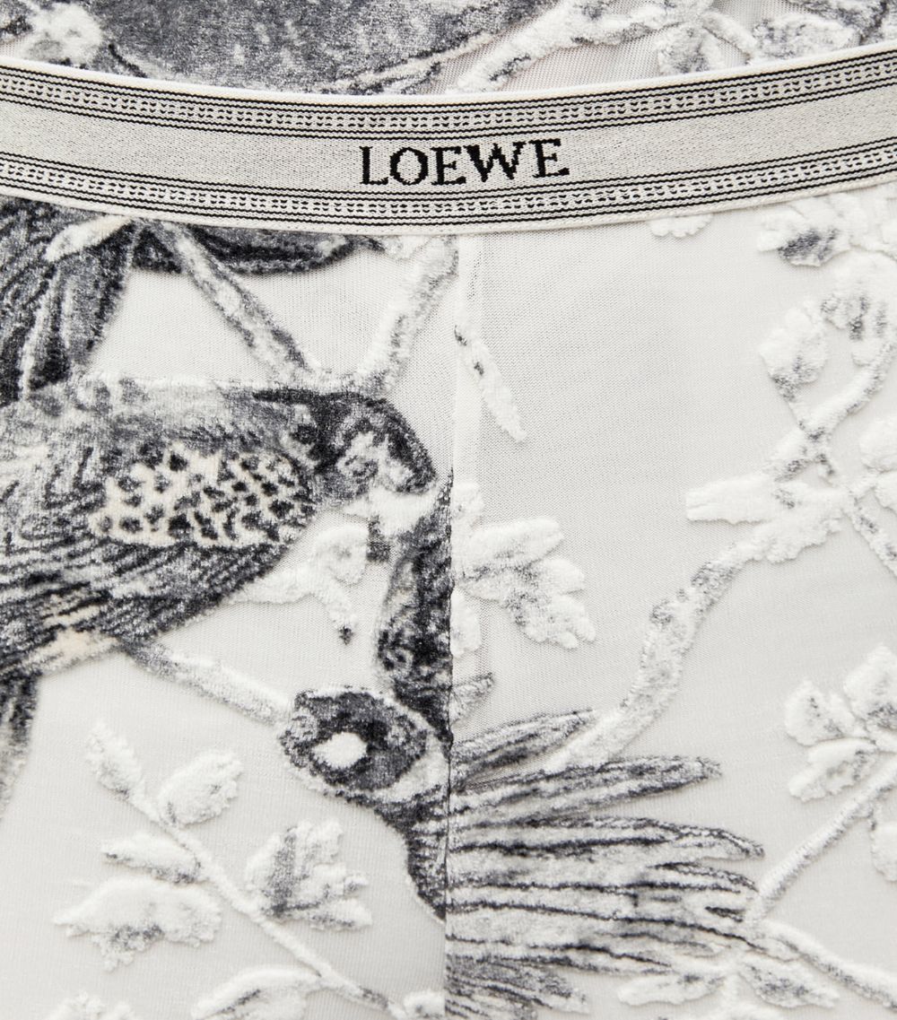 Loewe Loewe X Paula'S Ibiza Bird-Jacquard Flared Trousers