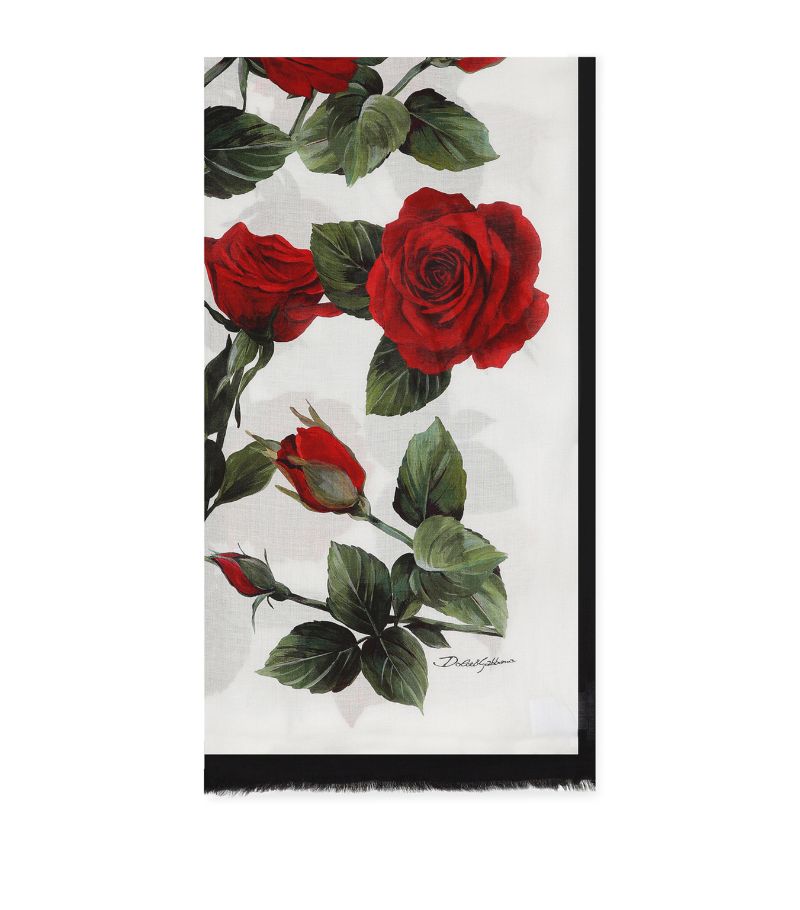 Dolce & Gabbana Dolce & Gabbana Modal-Silk Rose Dg Scarf