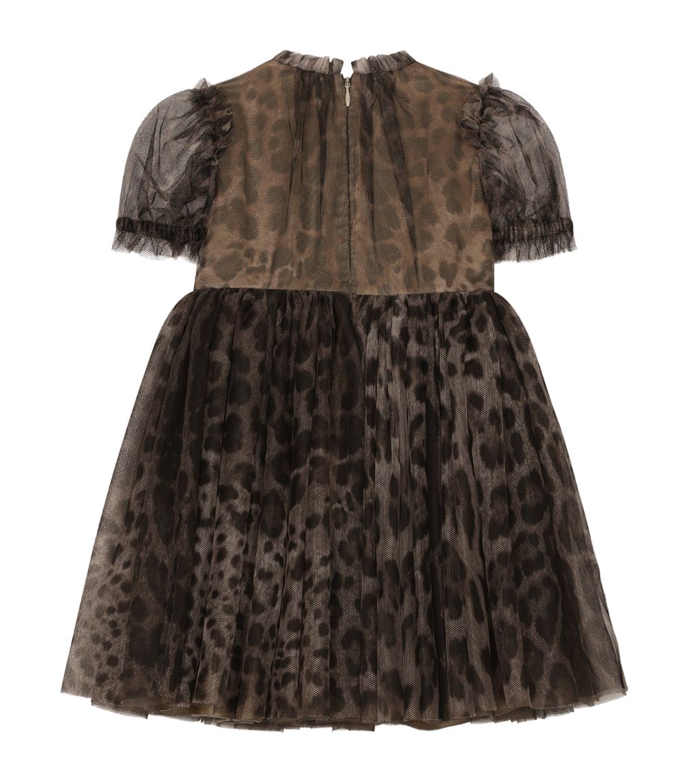 Dolce & Gabbana Dolce & Gabbana Kids Tulle Leopard Print Dress (2-6 Years)