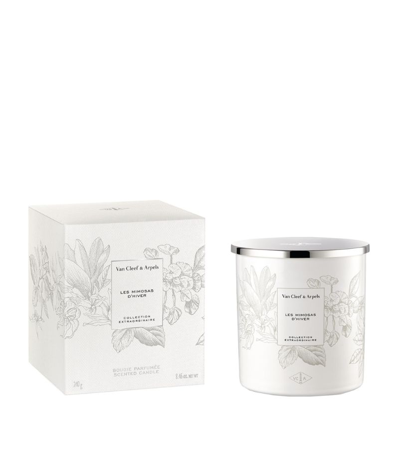 Van Cleef & Arpels Van Cleef & Arpels Les Mimosas d'Hiver Candle (240g)