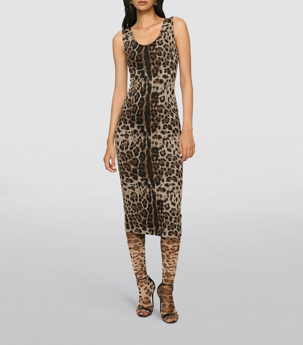 Dolce & Gabbana Dolce & Gabbana Leopard Print Midi Dress