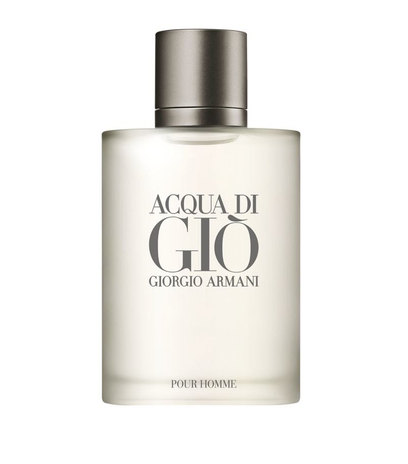 Armani Armani Acqua Di Giò Homme Eau De Toilette (100Ml)