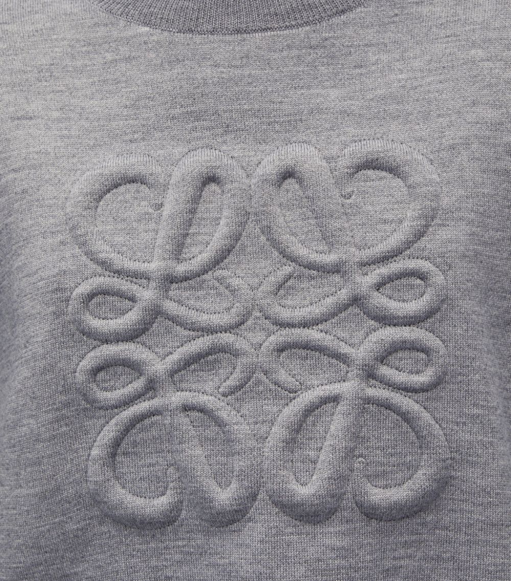 Loewe LOEWE Anagram Cropped Sweater