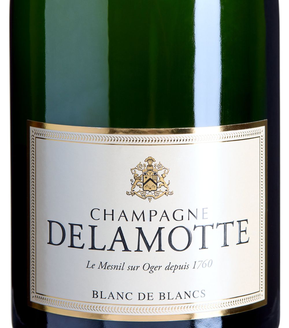 Delamotte Delamotte Blanc De Blancs Brut Non-Vintage Champagne (150Cl) - Champagne, France