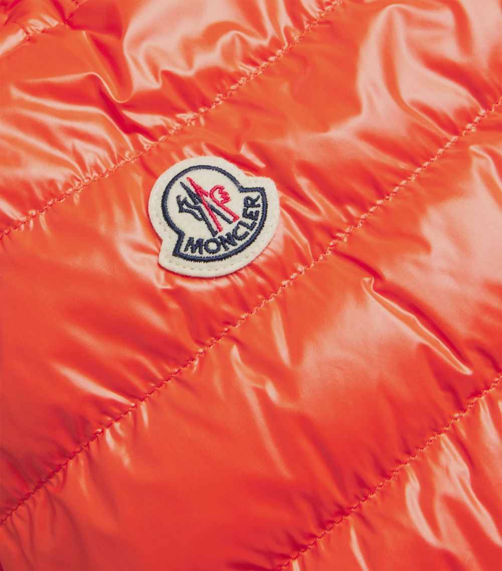 Moncler Moncler Down Levanter Puffer Jacket