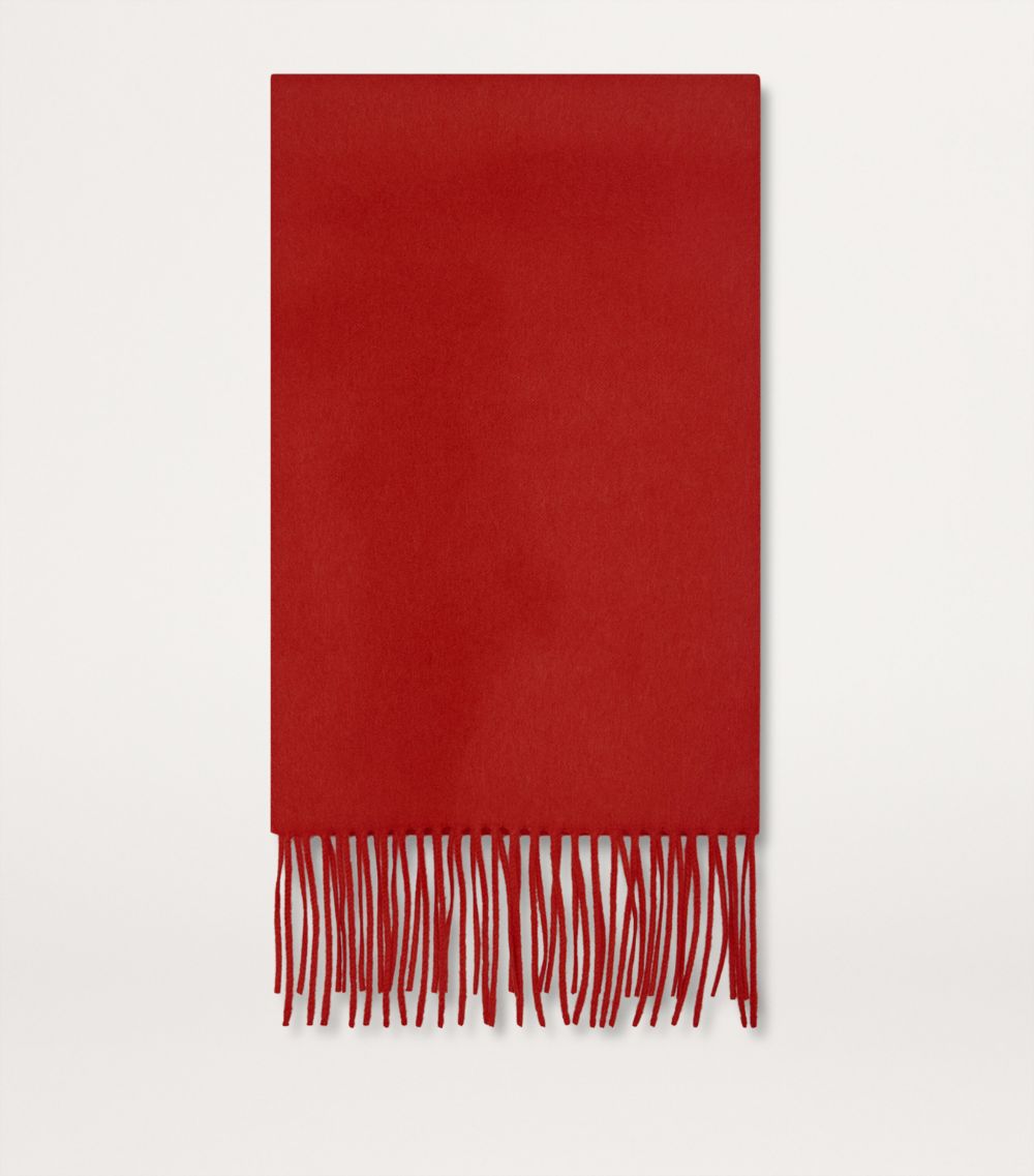 The Row The Row Viktor Cashmere Scarf