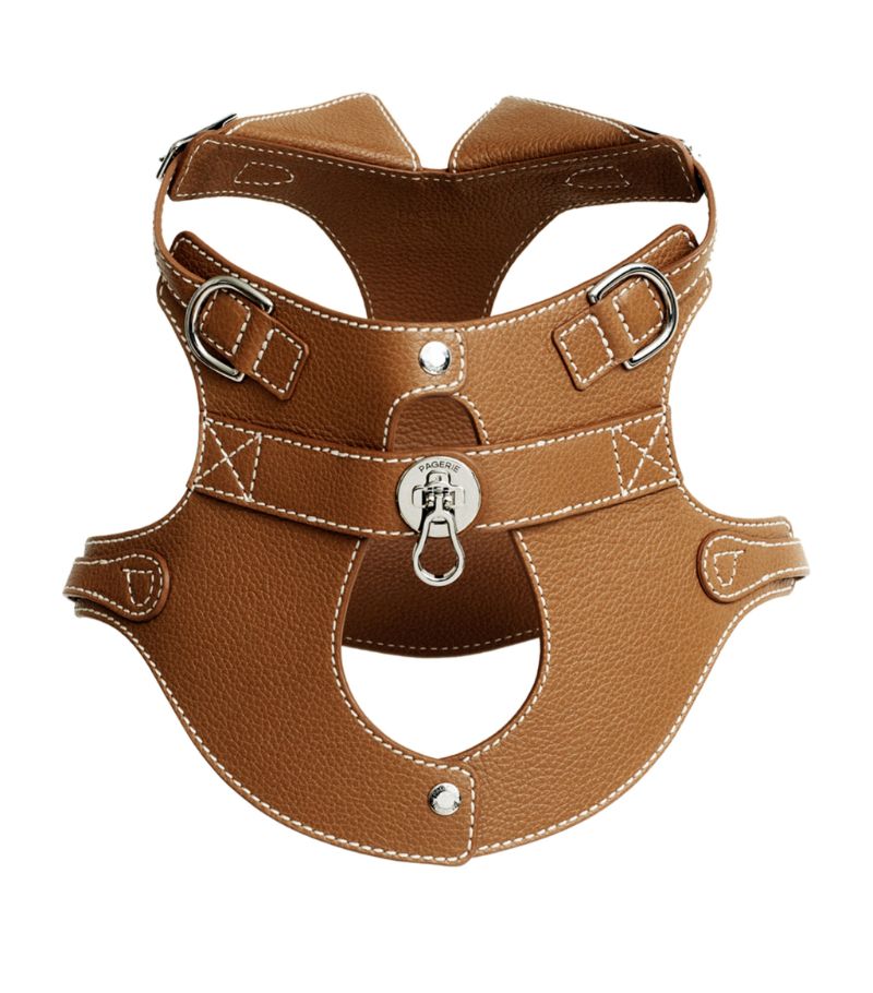 Pagerie Pagerie Colombo Dog Harness (Small)
